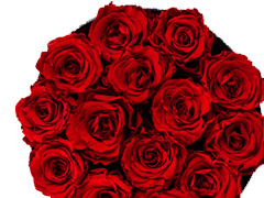 Flowerbox mit Rosen