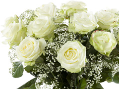 Weiße Rosen zum Muttertag