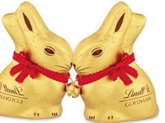 Rosen zu Ostern