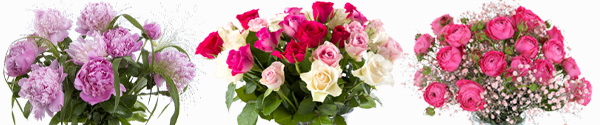 Pinke Rosensträuße