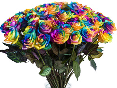 Regenbogen Rosen bestellen