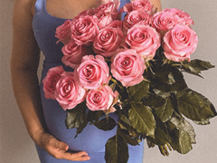 Rosen zur Geburt