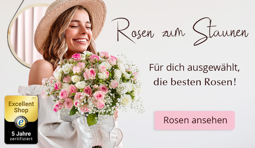 Rosen online bestellen