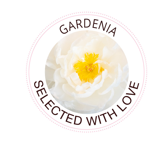 Gardenia Pfingstrose Gardenia Pfingstrose