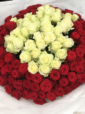 Stückzahl Rot-Weiße Rosen