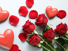 Rote Rosen Strauß