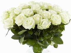 Weiße Rosen kaufen
