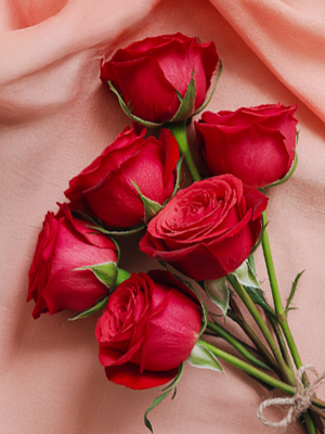 12. Juni: Der Tag der roten Rosen