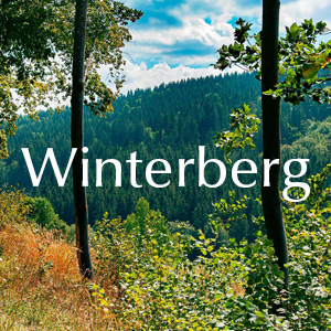 Rosenlieferung in Winterberg